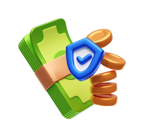 LoanSetu verification visual